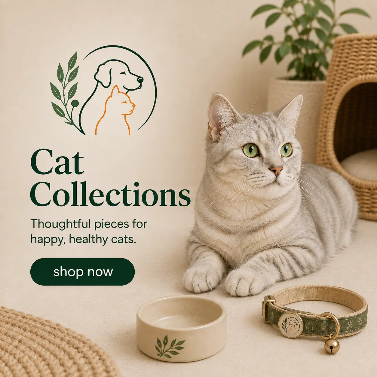 Cat Collections